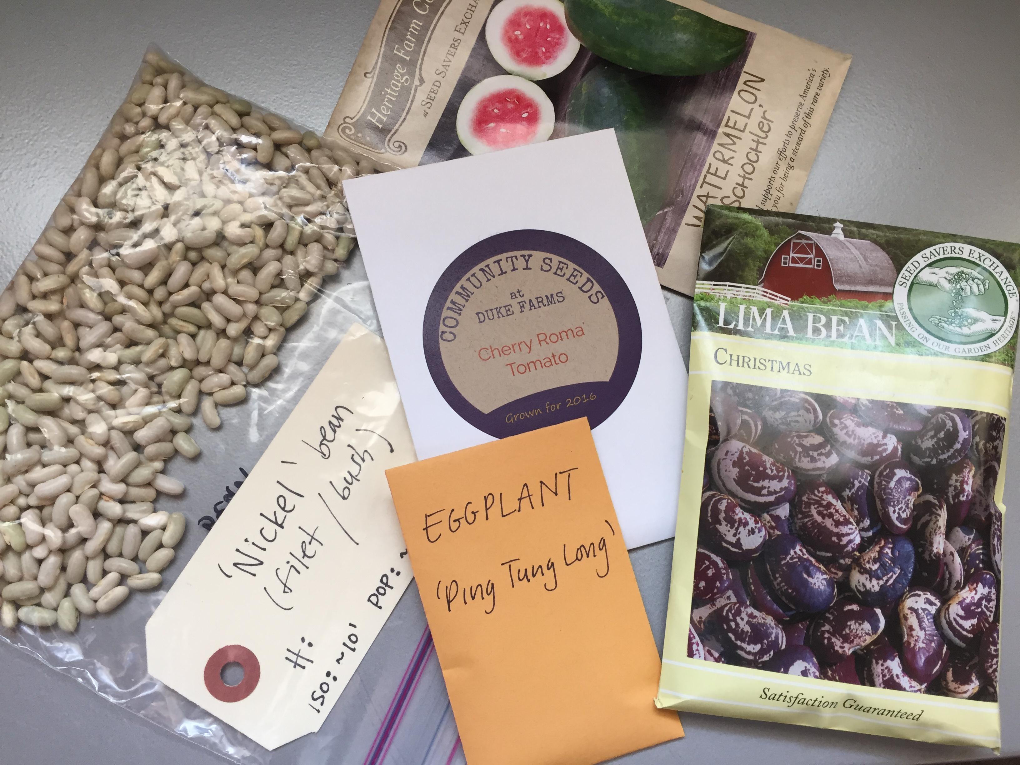 National Seed Swap Day 2020