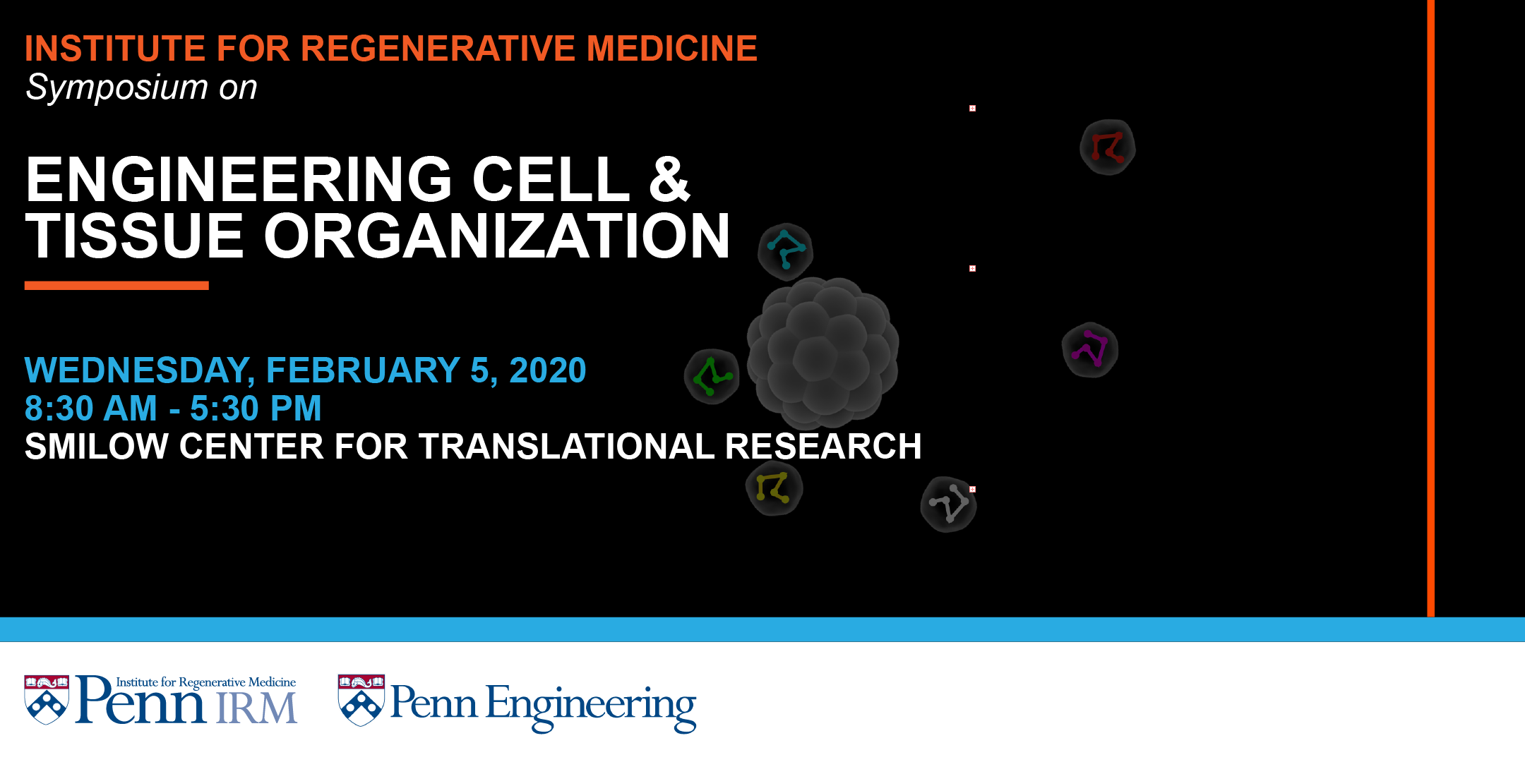 Engineering Cell & Tissue Organization Symposium