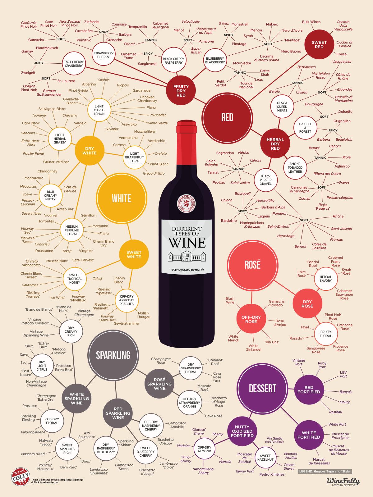Wine 101: The Basics