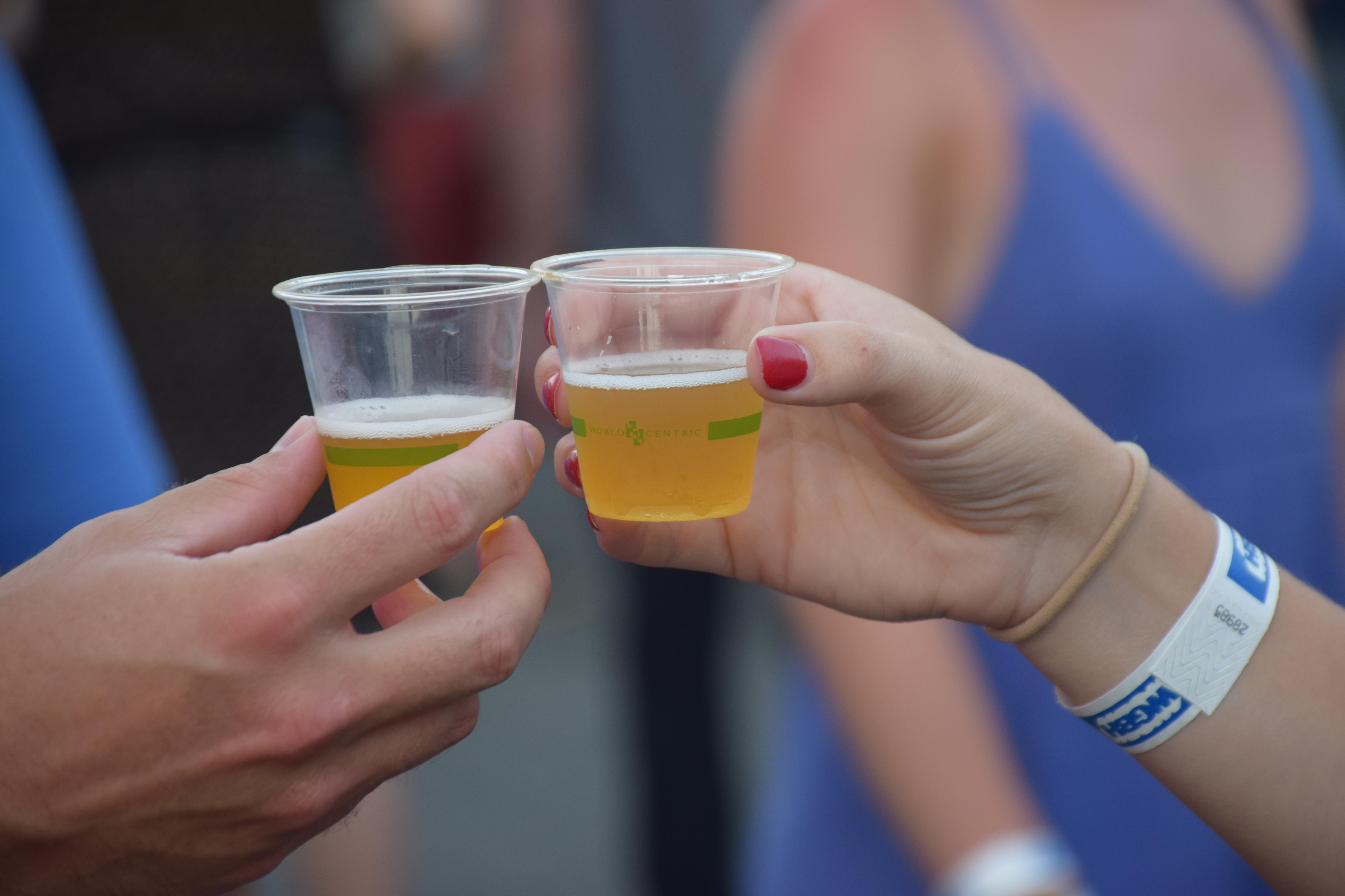 WGBHs Craft Beer and Cider Festival 2020
