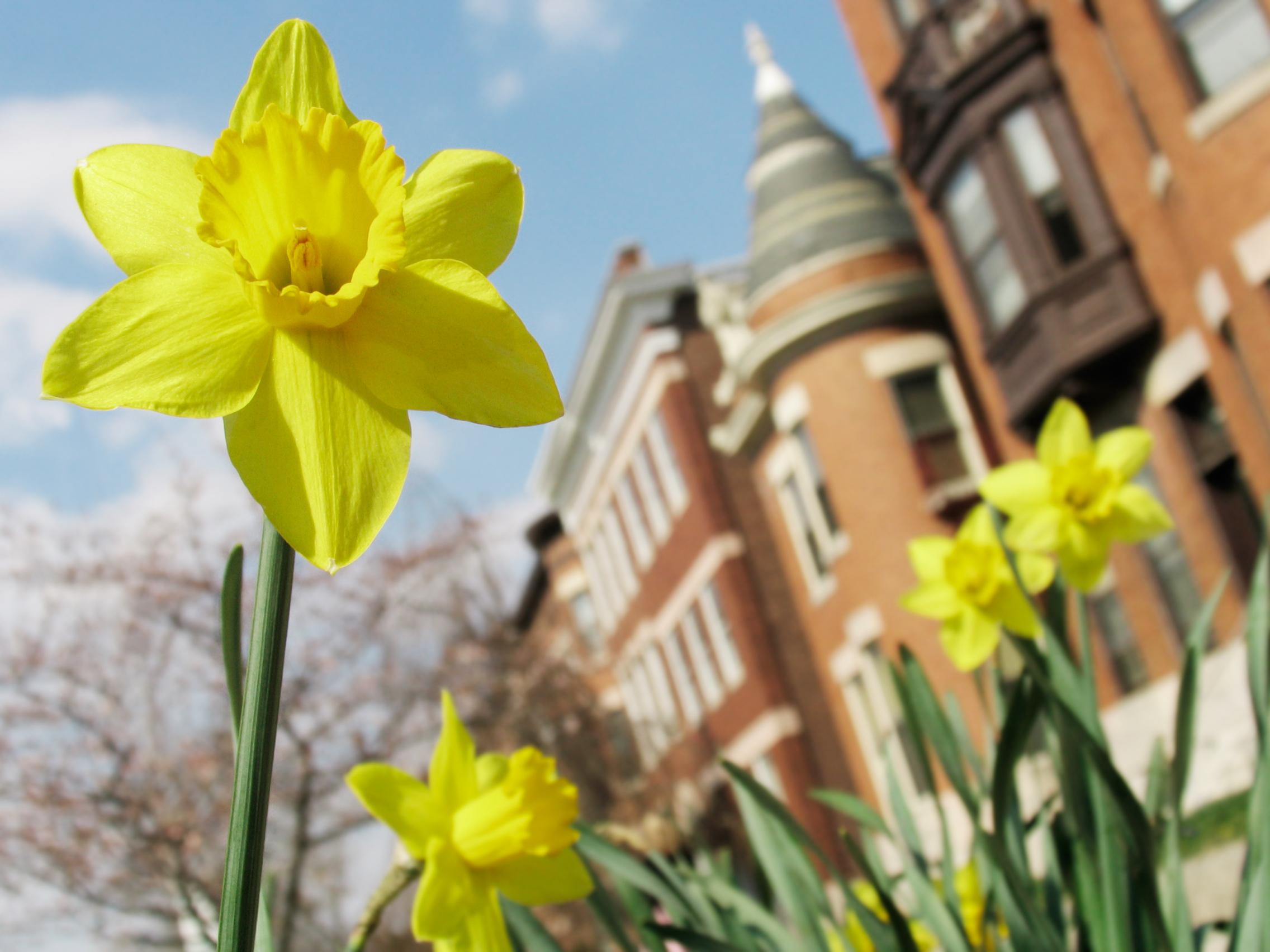 Visit Maryland Spring 2020 - Business Associations