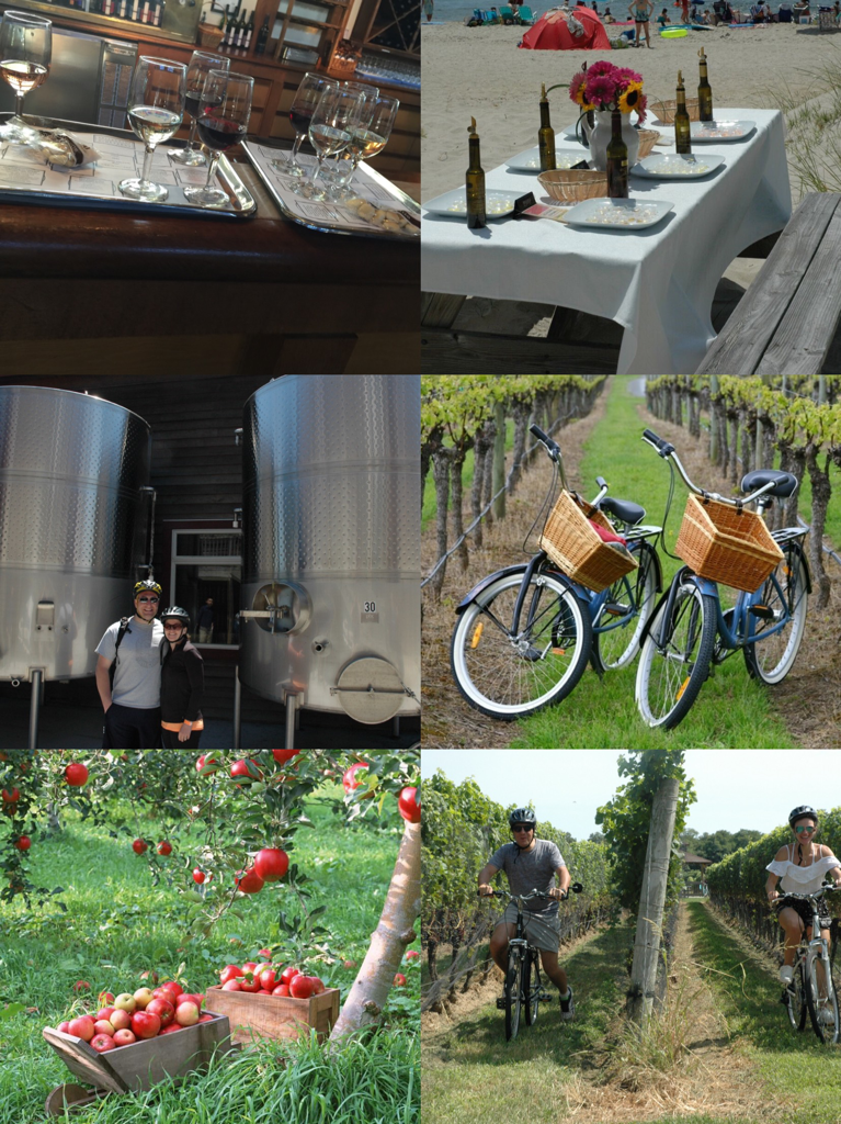 Bike Wine Tours North Fork Experience in Long Island, NY - $98 + add-ons