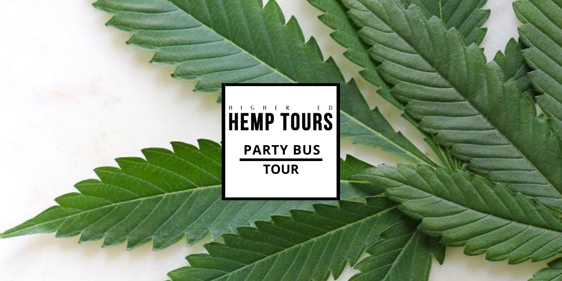 Party Bus Hemp Tour