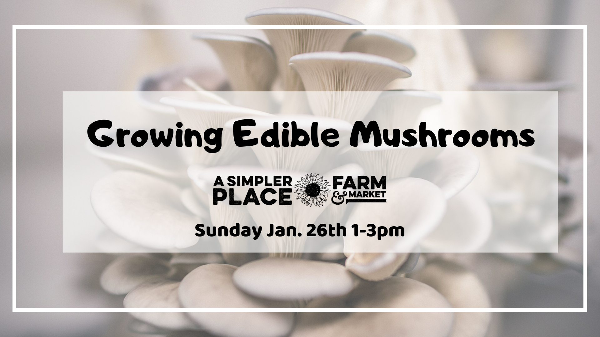 Growing Edible Mushrooms