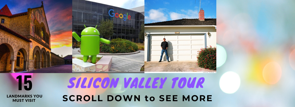 1-DAY Silicon Valley Tour for Tech Lovers with a Tesla