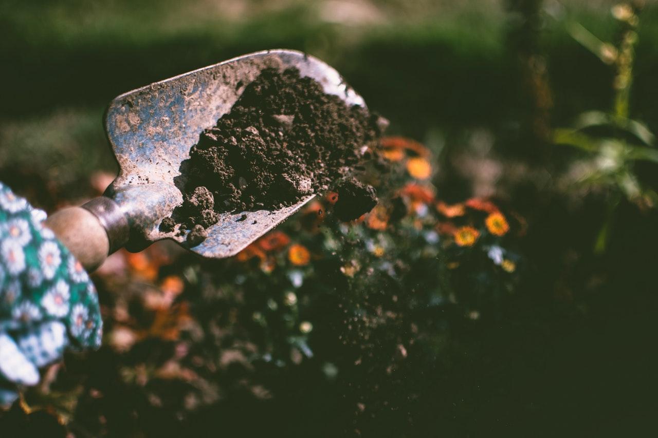 The Dirt on Soils, Fertilizers, and Mulches