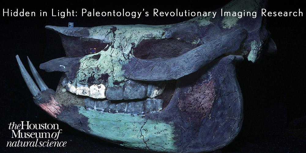 Hidden in Light: Paleontology’s Revolutionary Imaging Research