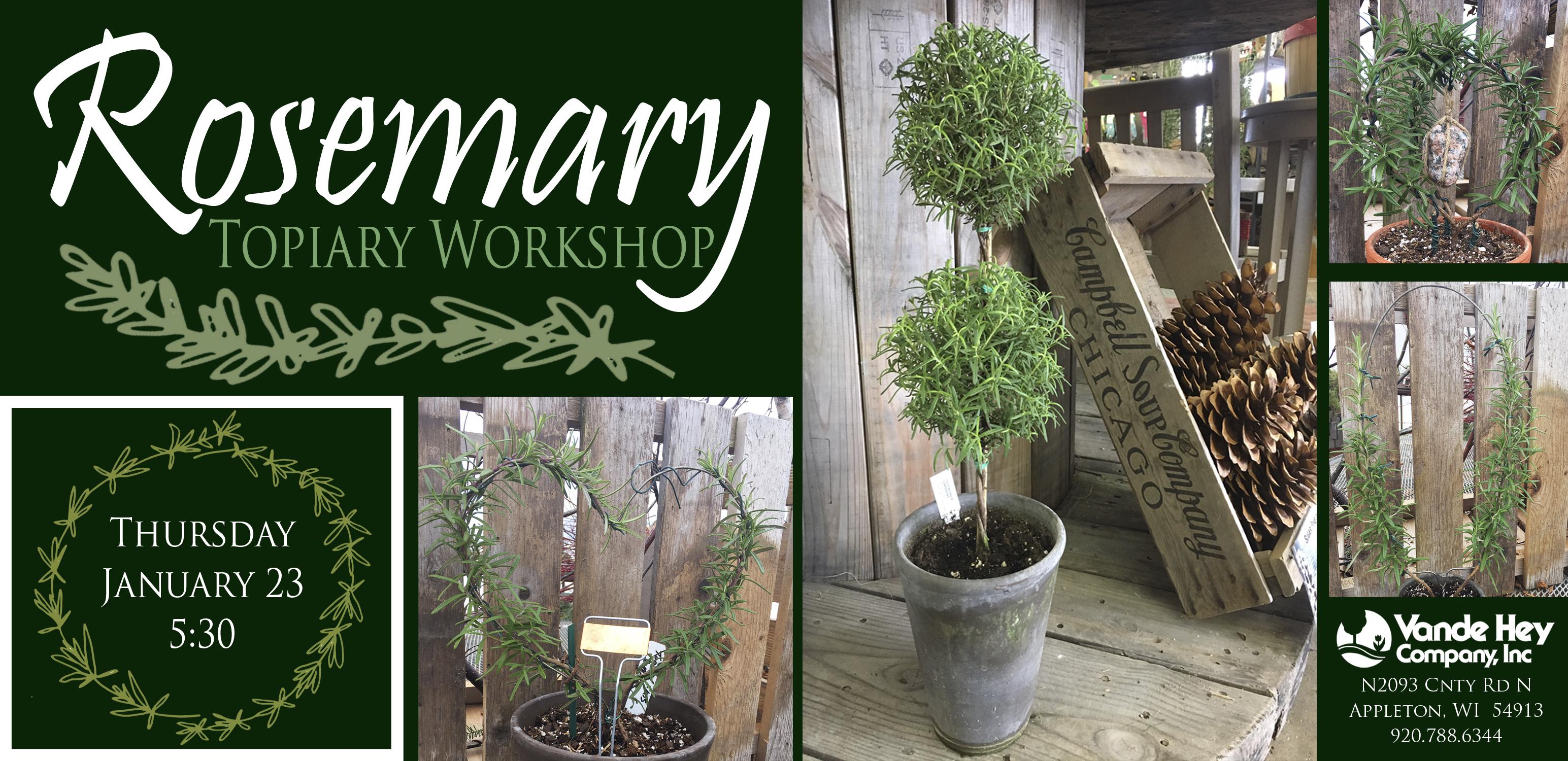 Rosemary Topiary Workshop