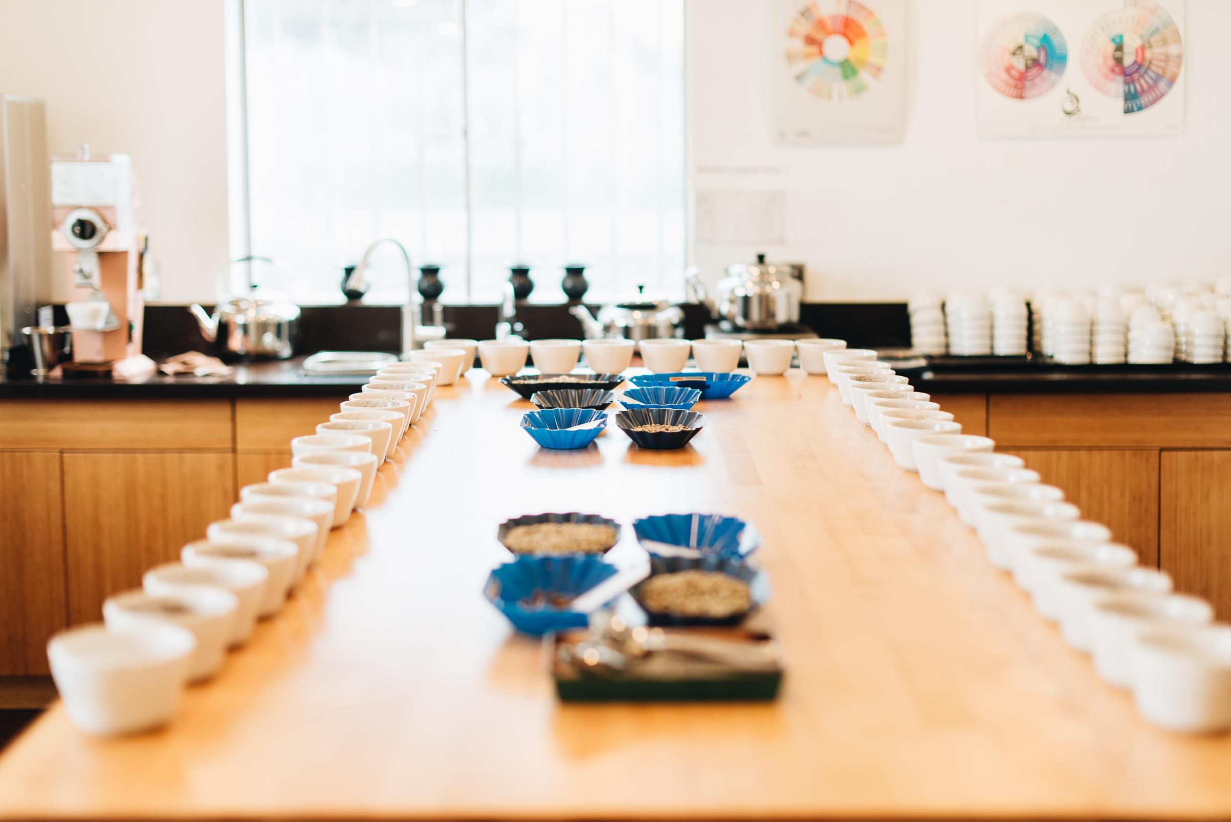 Introduction to Cupping at CoRo