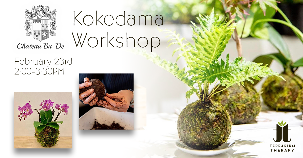 SOLD OUT Orchid Kokedama /Jade Kokedama Workshop at Chateau Bu De Winery