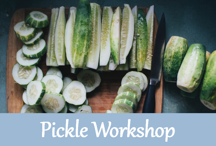 Pickle Workshop