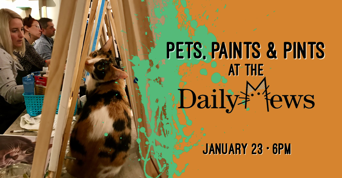 Pets, Paints & Pints at the Daily Mews