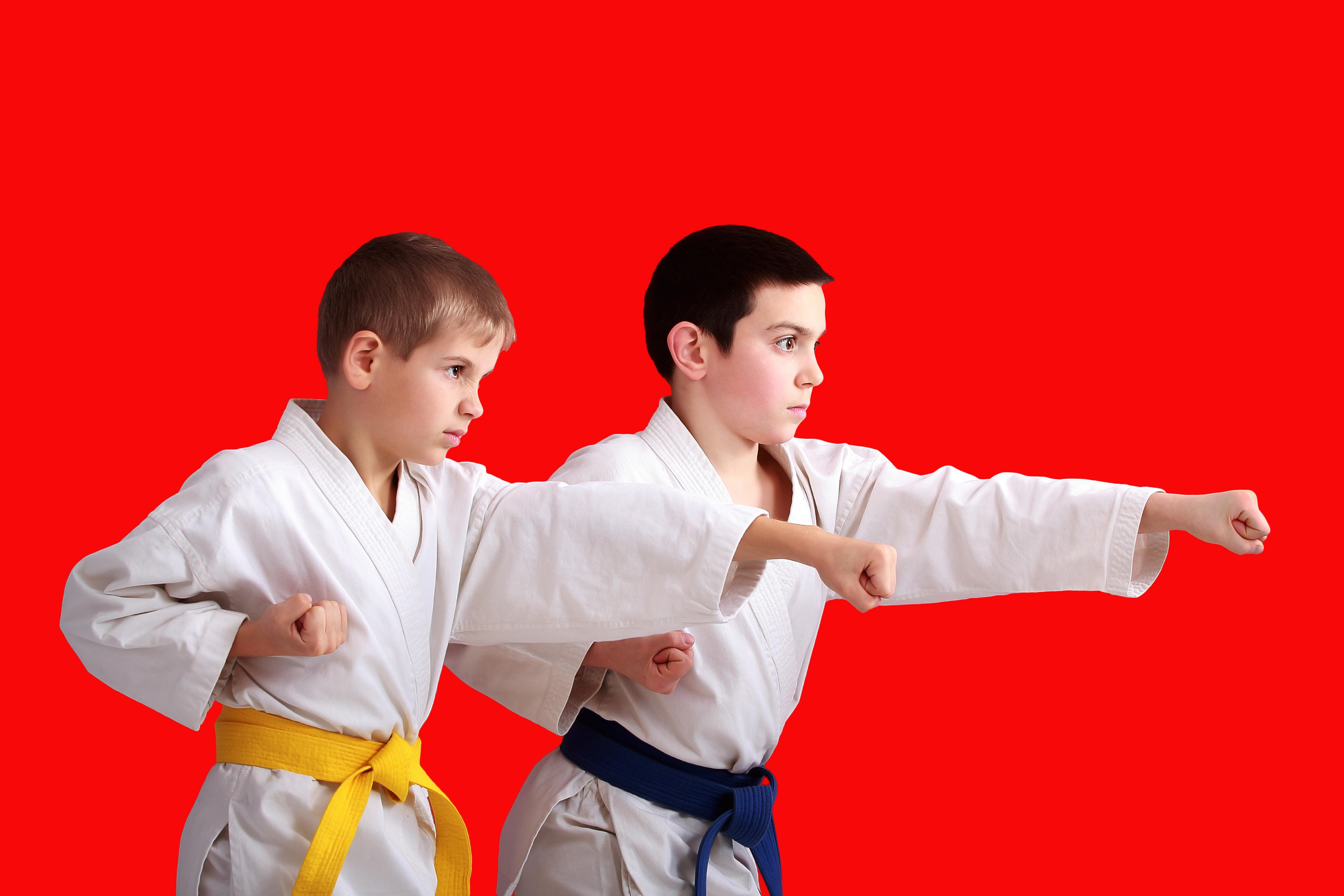 Intro to Kids Karate / Dallas Kyokushin Karate in Arlington