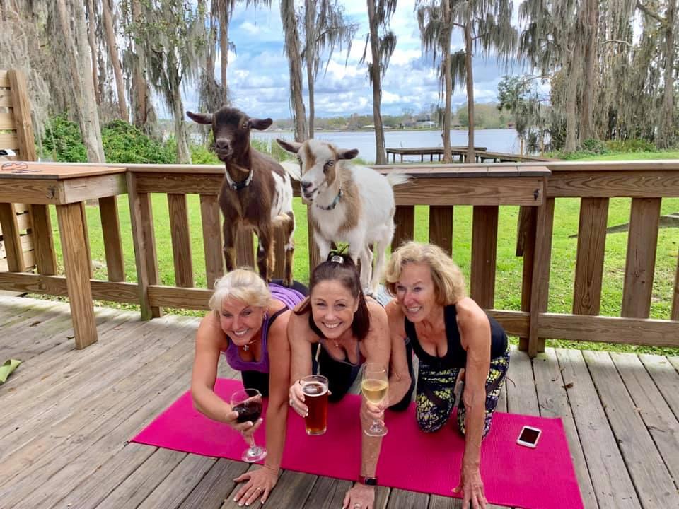 Goat Yoga Tampa plus free drink! In the Loop Brewing; Land O Lakes 1/26/20