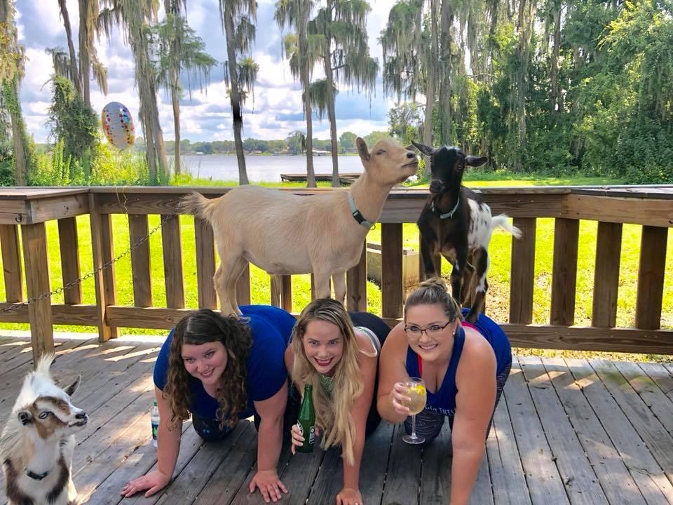Goat Yoga Tampa plus free drink! In the Loop Brewing, Land O Lakes; 2/23/20