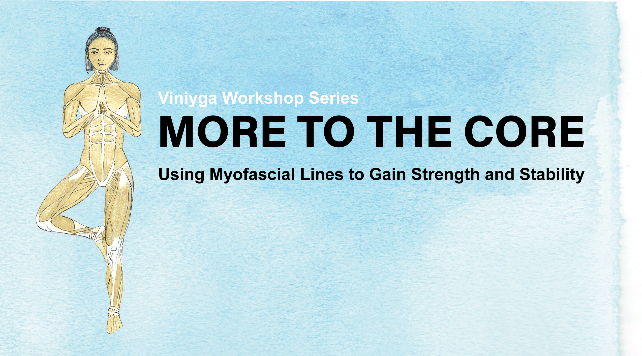 There's More to the Core: Using myofascial lines to gain strength and stability (with Liz Lacey-Gotz)