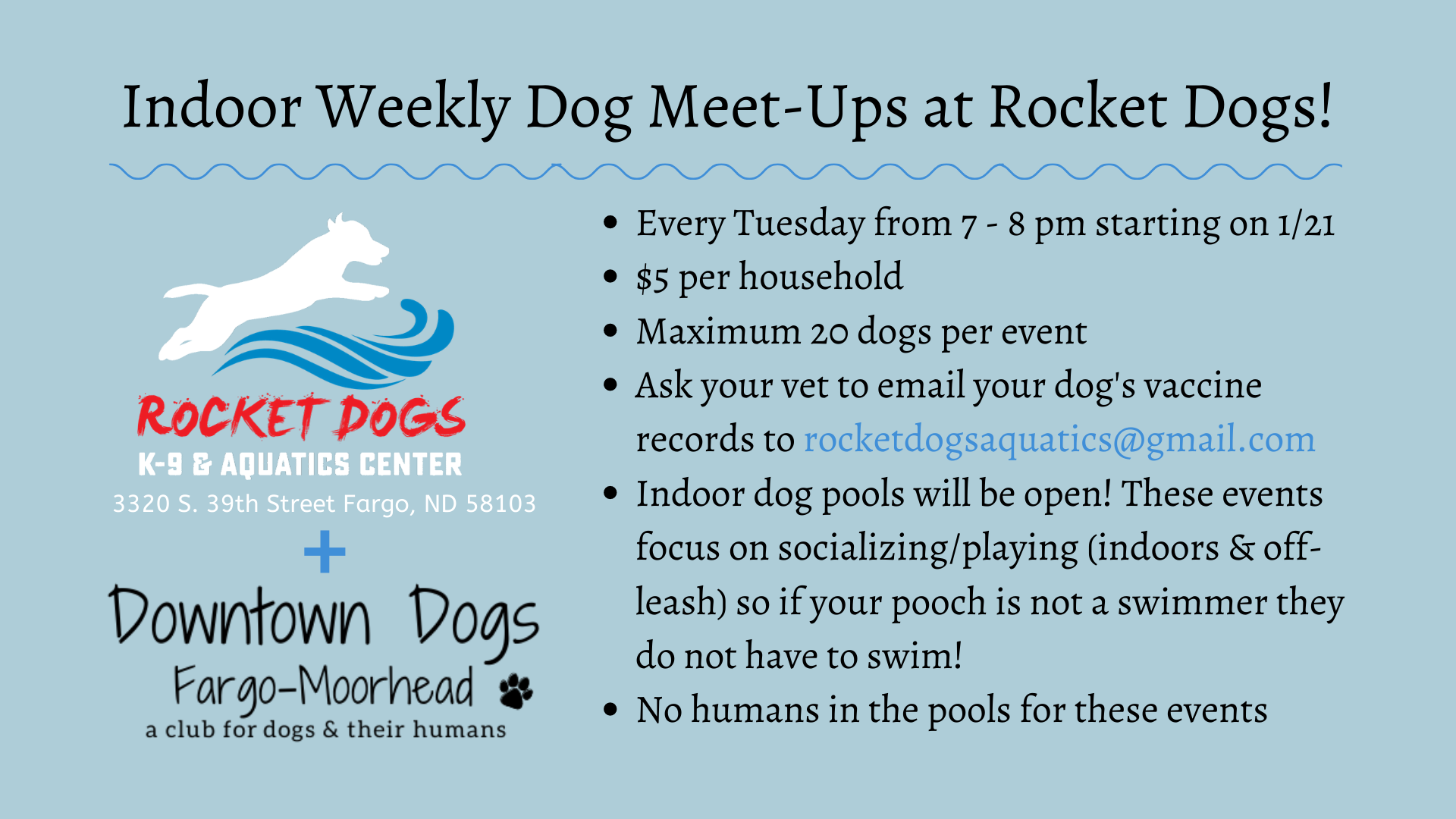 Weekly Dog Meet-Ups at Rocket Dogs!