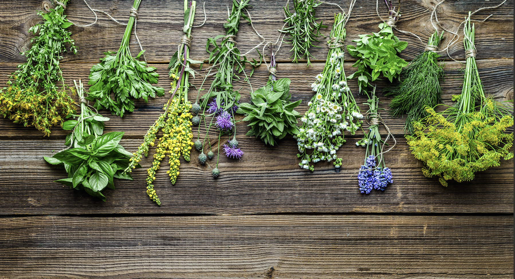 Understanding Herbs and Spices 101