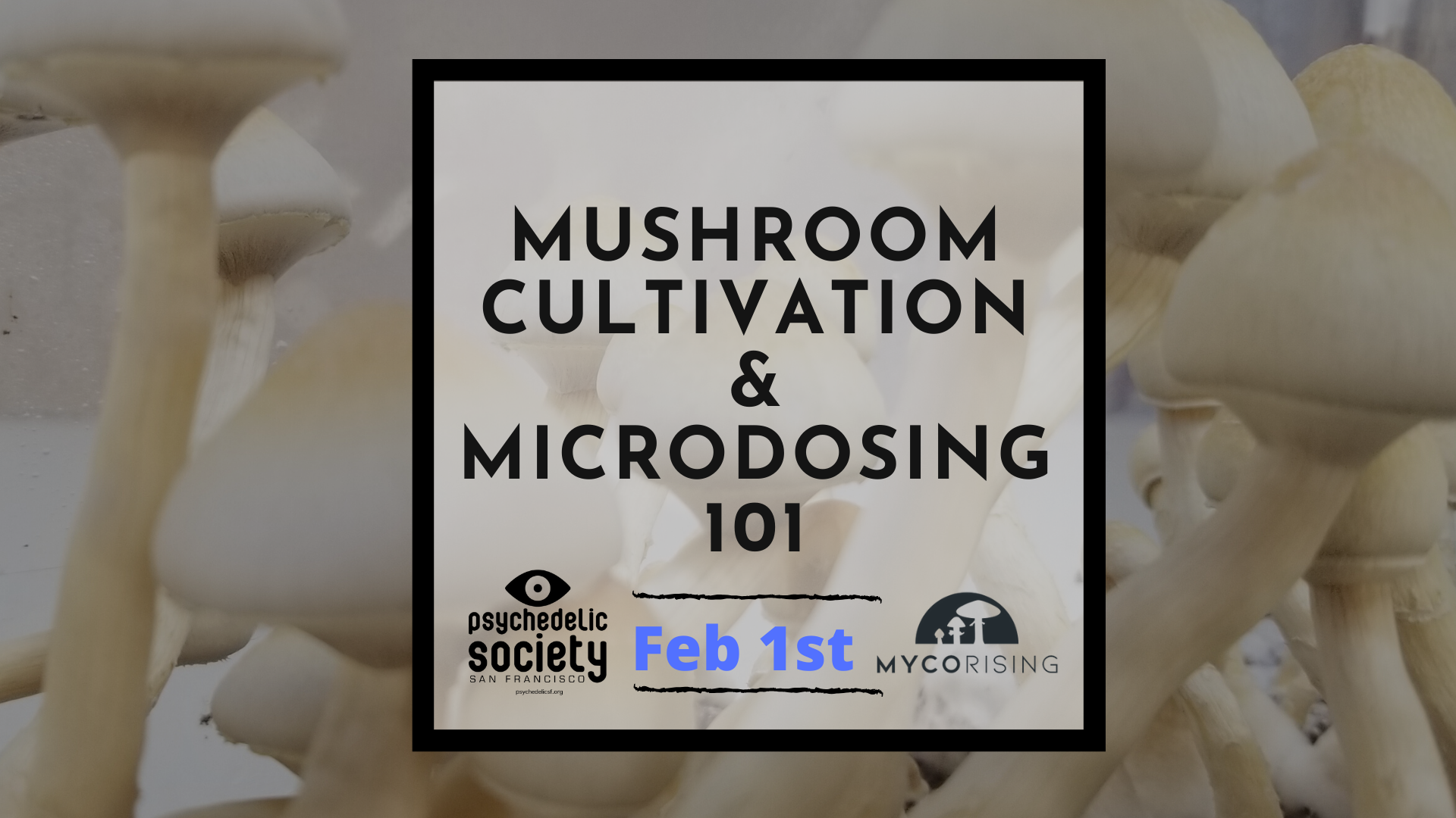 Feb 1st Mushroom Cultivation & Microdosing