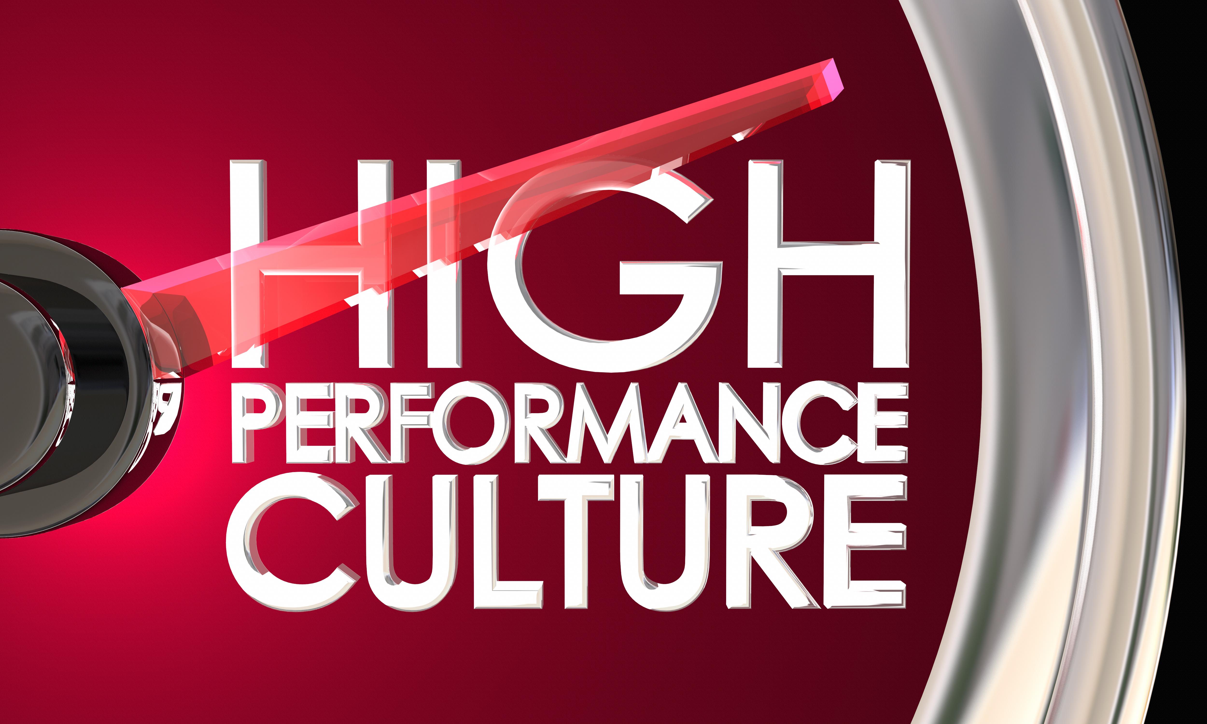 Executive Briefing: The Five Principles Of Creating a High-Performance Culture