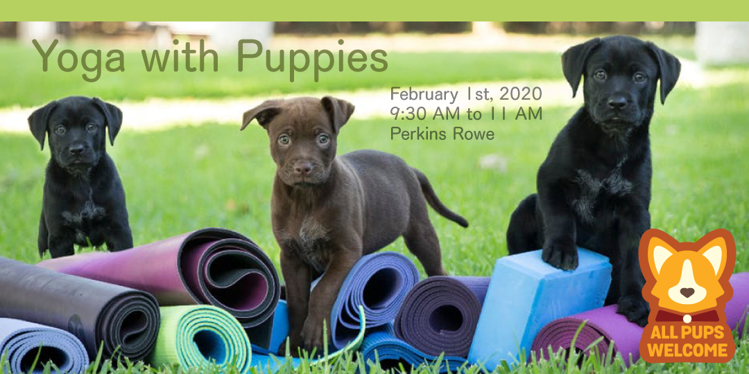 Yoga with Puppies - Baton Rouge: February