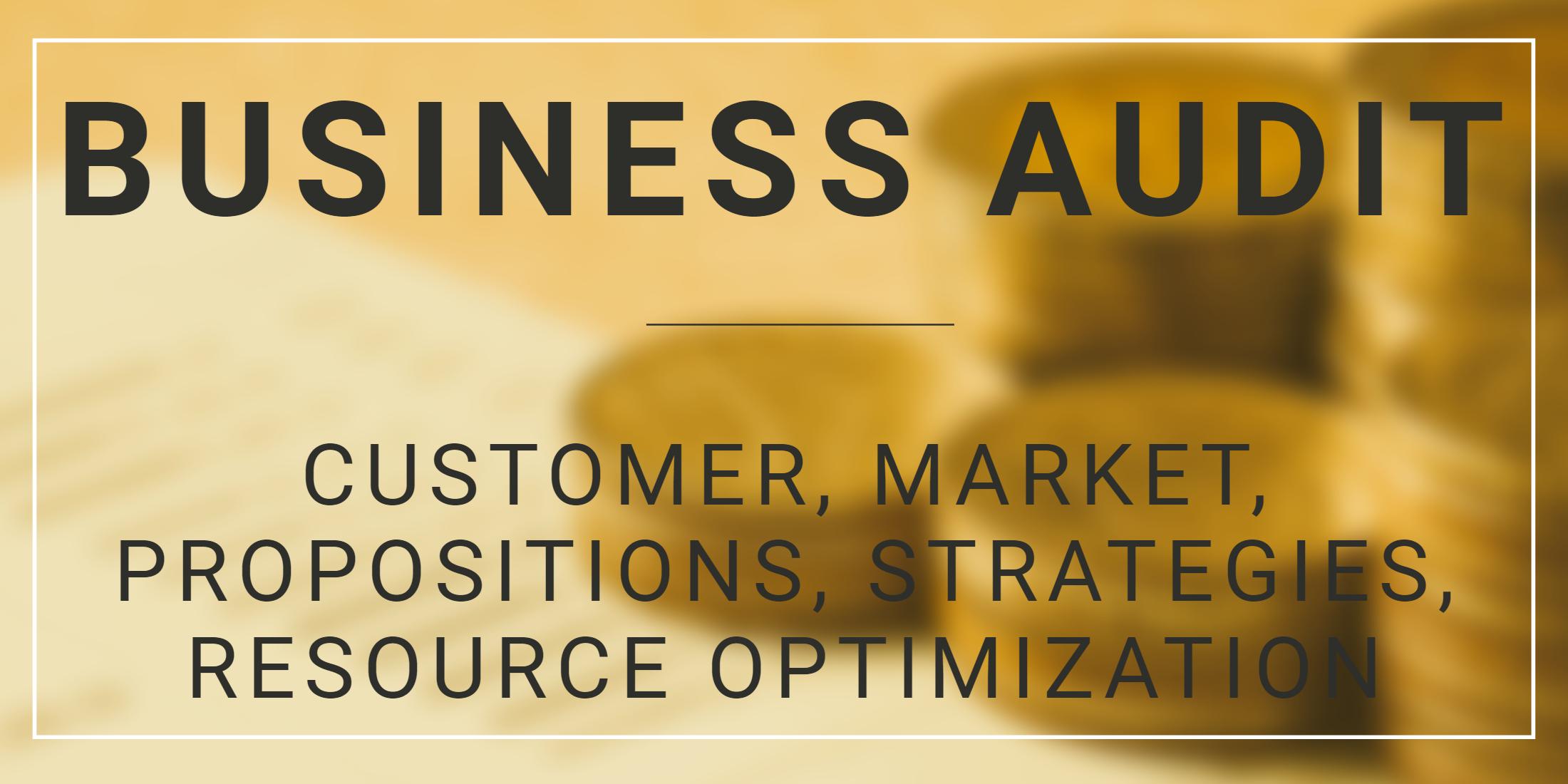 Business Audit (Metrics & Compliances)