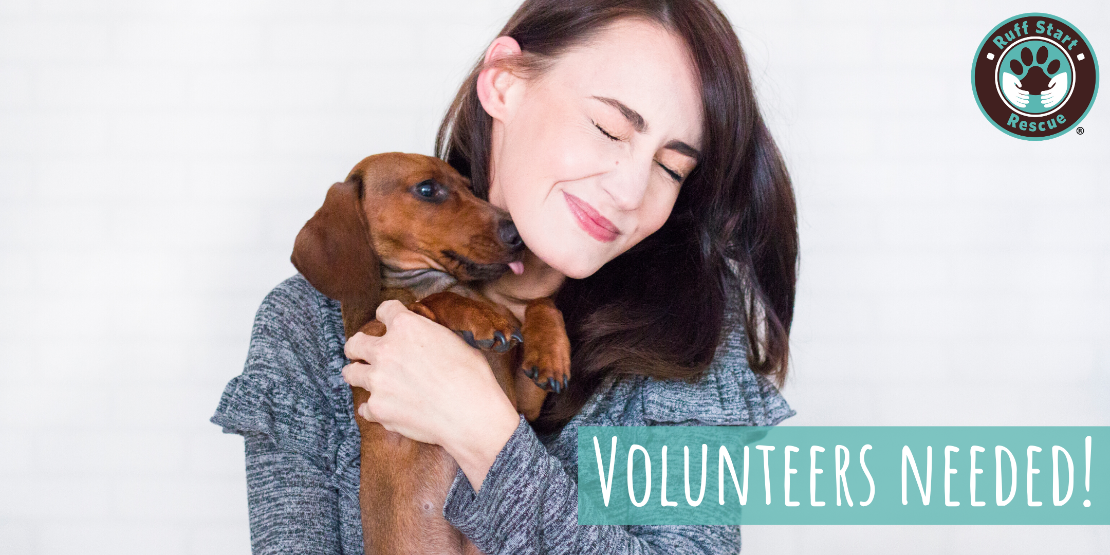 Crystal Pet Supply Plus Volunteer Recruitment Event