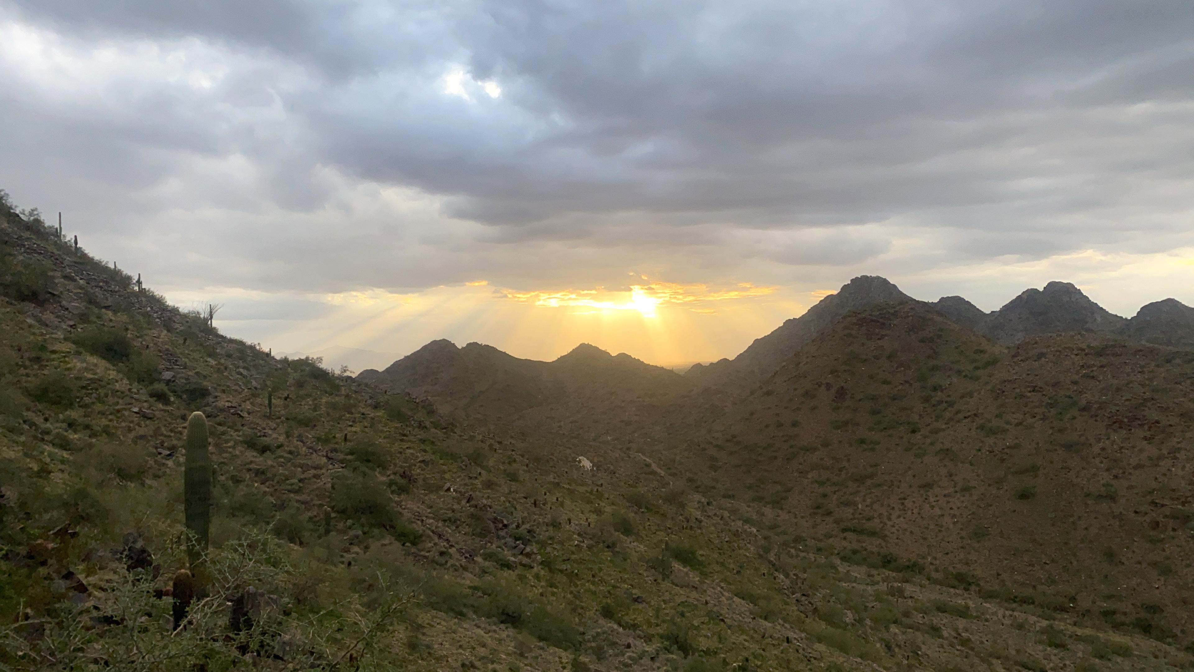 Phoenix: March 2020 Hike and Brunch