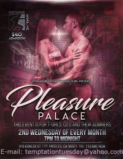 A Night At The Pleasure Palace