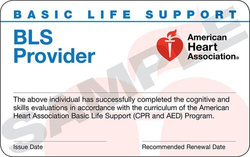 Basic Life Support for Healthcare Training (BLS)