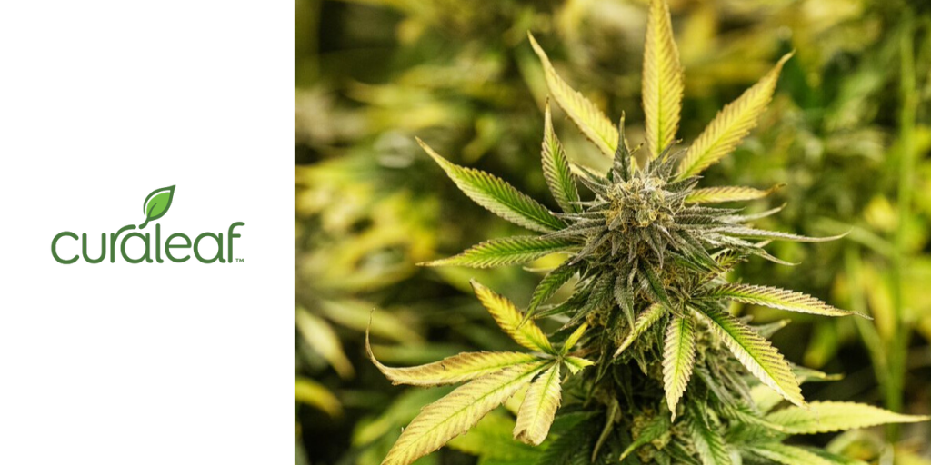 Dutchess County for Medical Cannabis