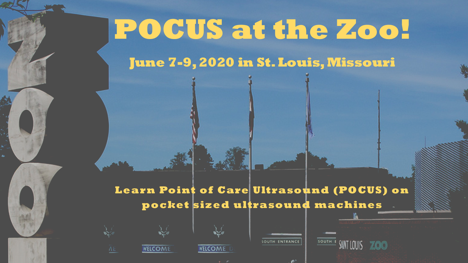 POCUS at the Zoo