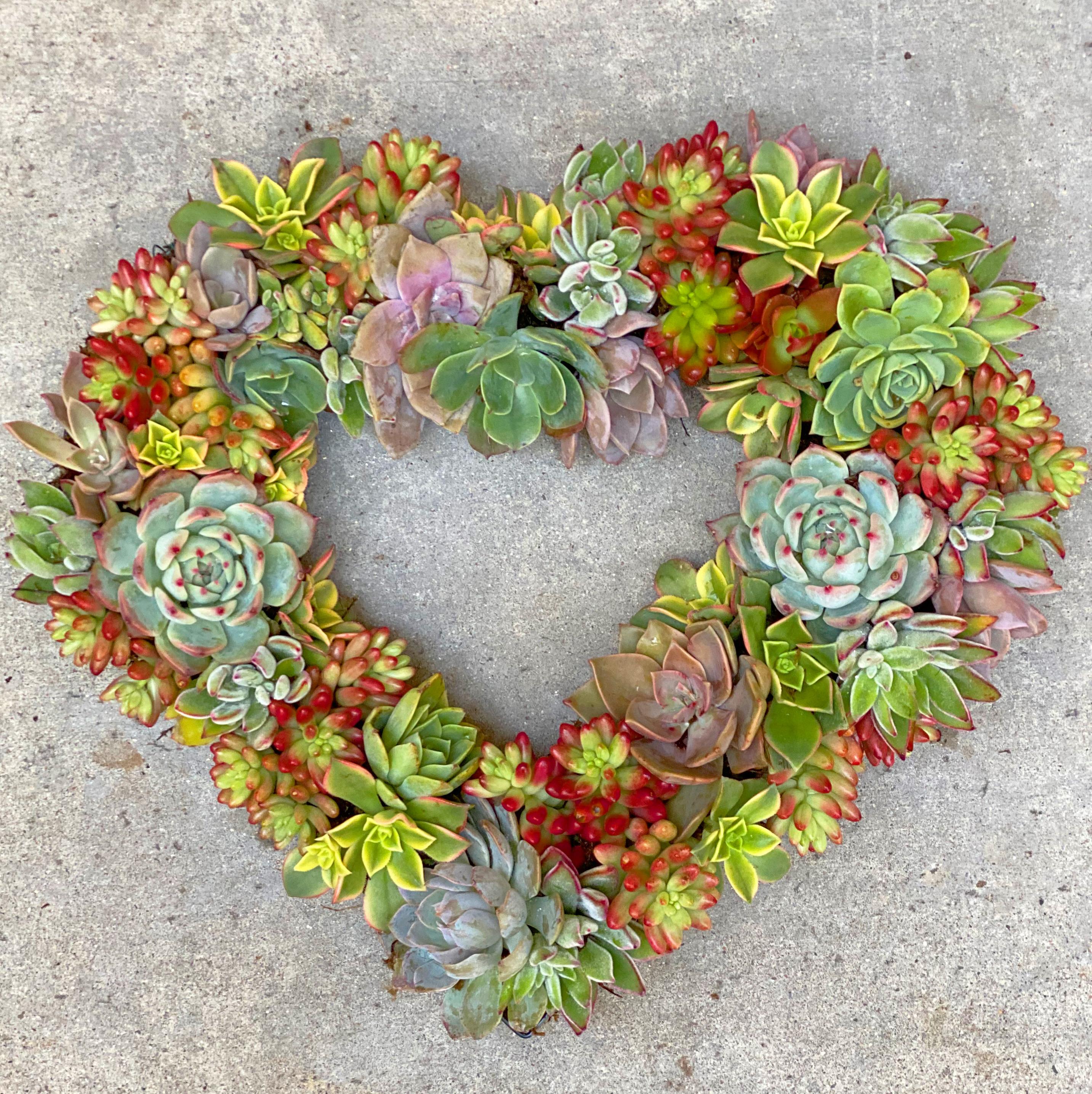 DIY Succulent Heart Wreath Workshop