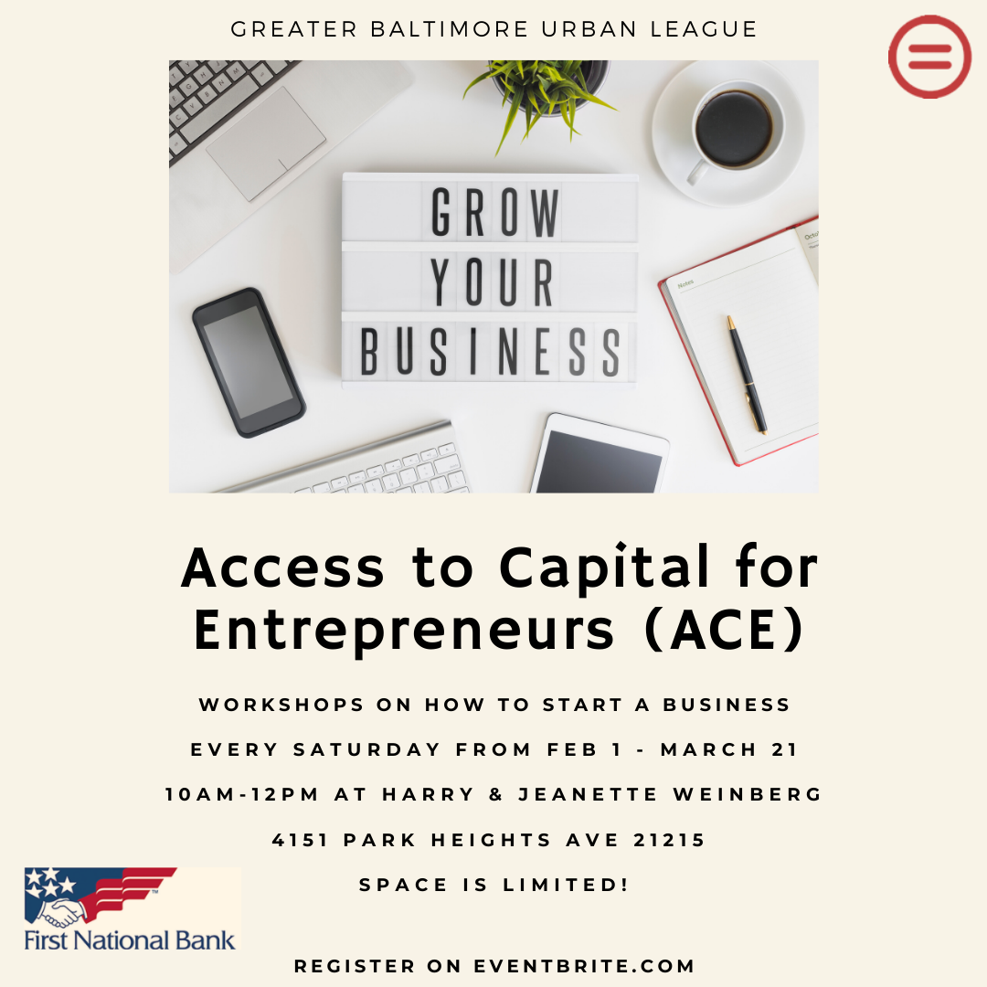 Access to Capital for Entrepreneurs (ACE)