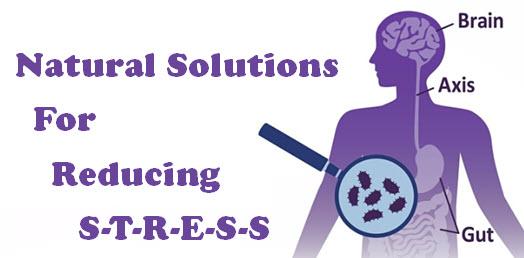 Natural Solutions for Reducing Stress (Bellevue, WA)