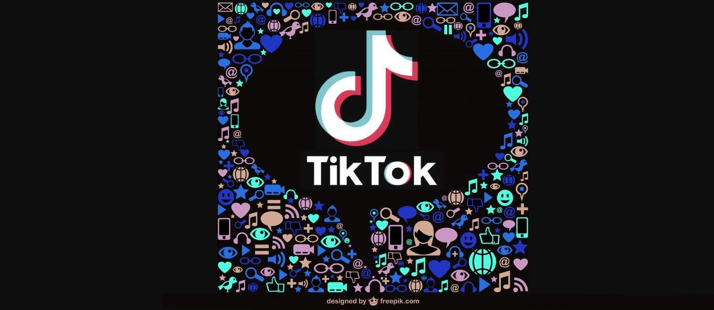 TikTok Meetup in Bellevue WA