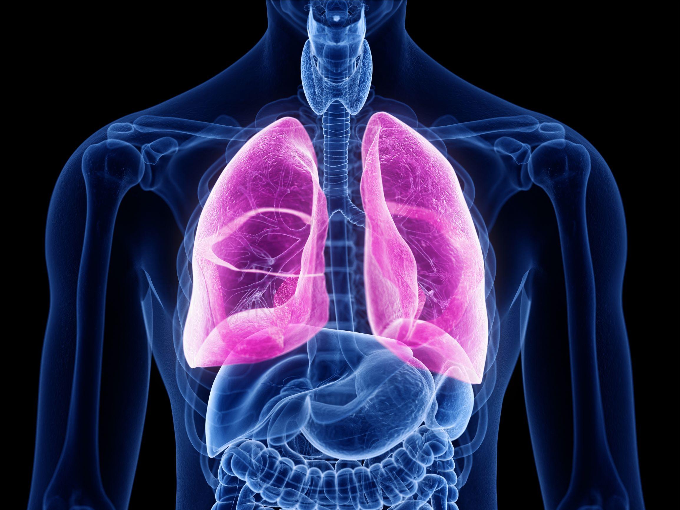 Understanding and treating lung fibrosis - 18 MAR 2020