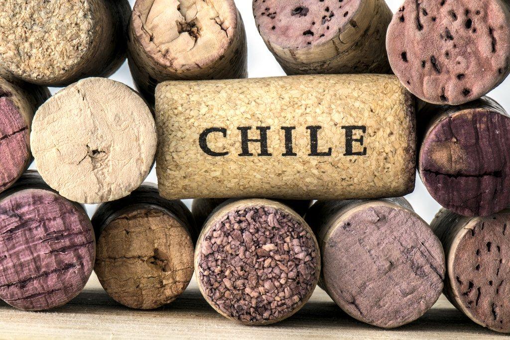 A Taste of Chile | Wine Pairing