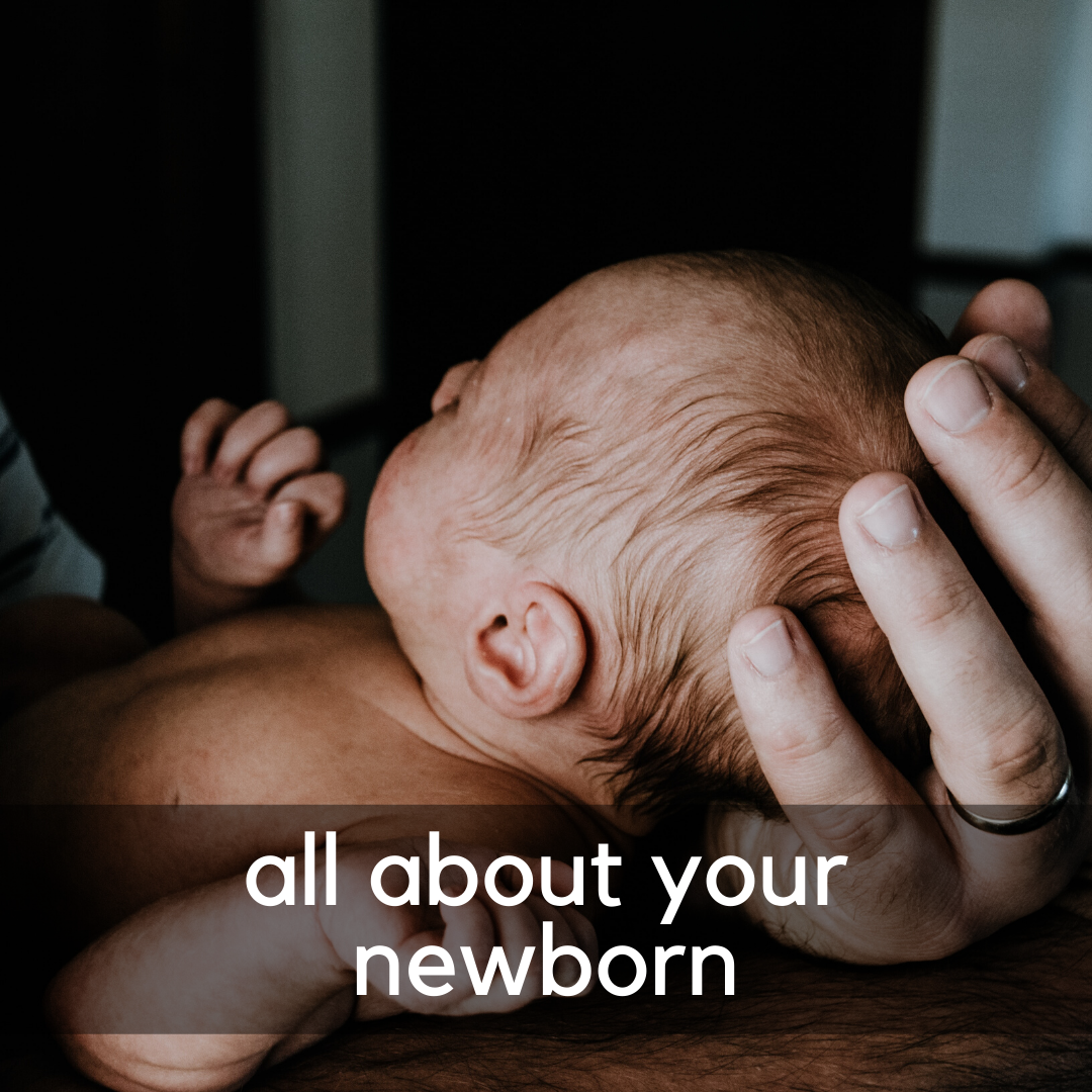 All About Your Newborn