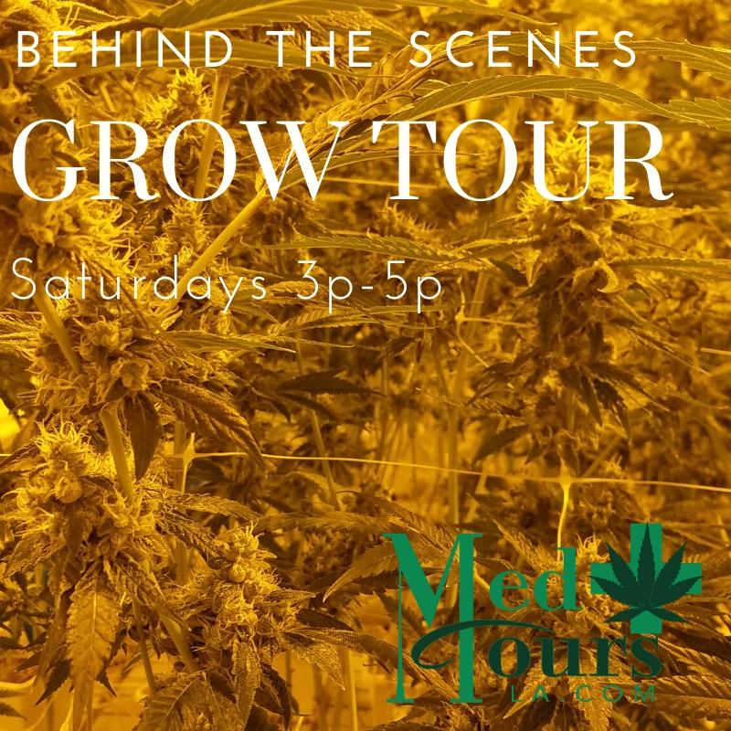 DTLA Tour (Behind the Scenes Grow Tour + Dispensary)