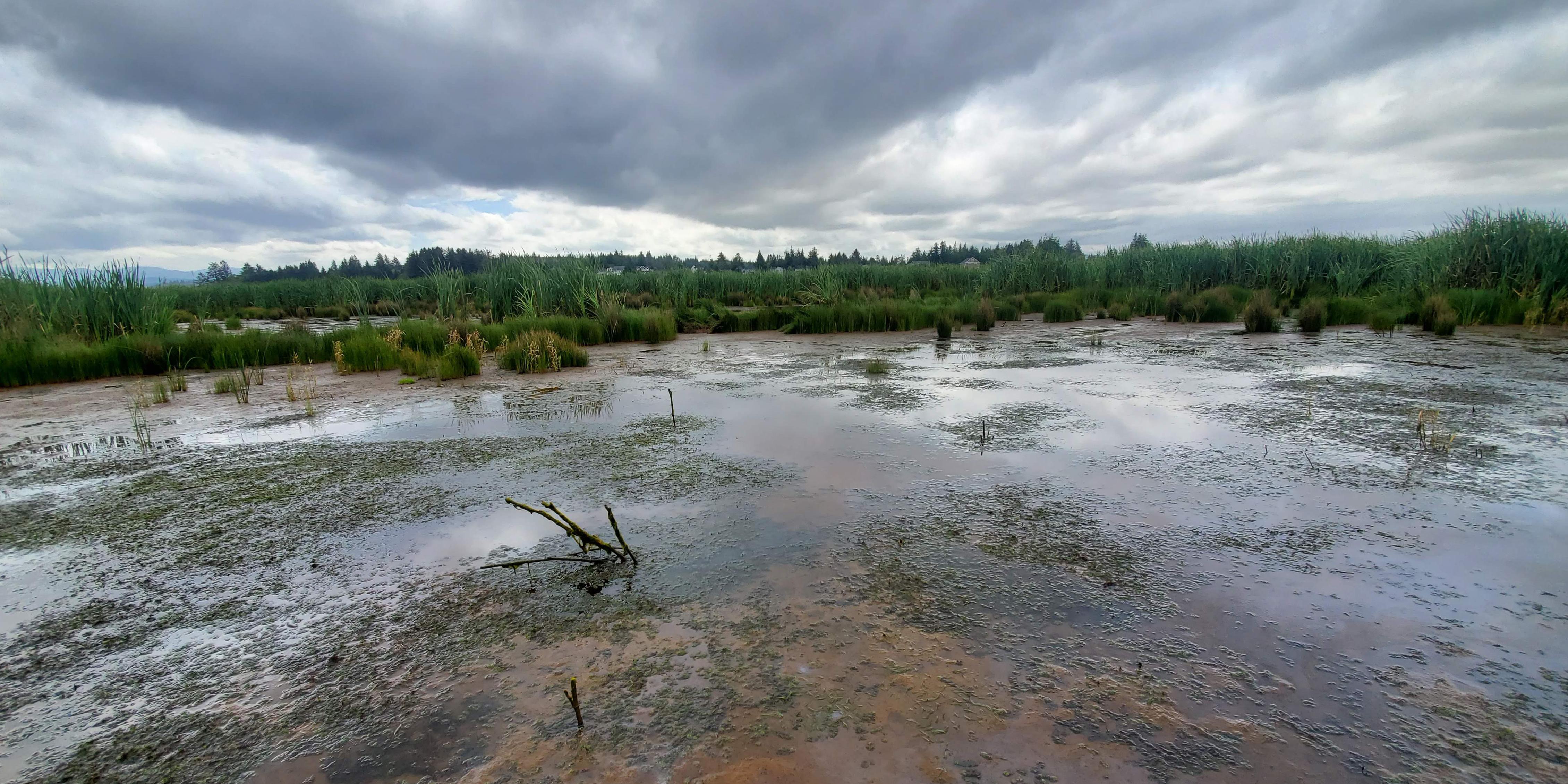 Columbia River Estuary Conference 2020 - 28 APR 2020