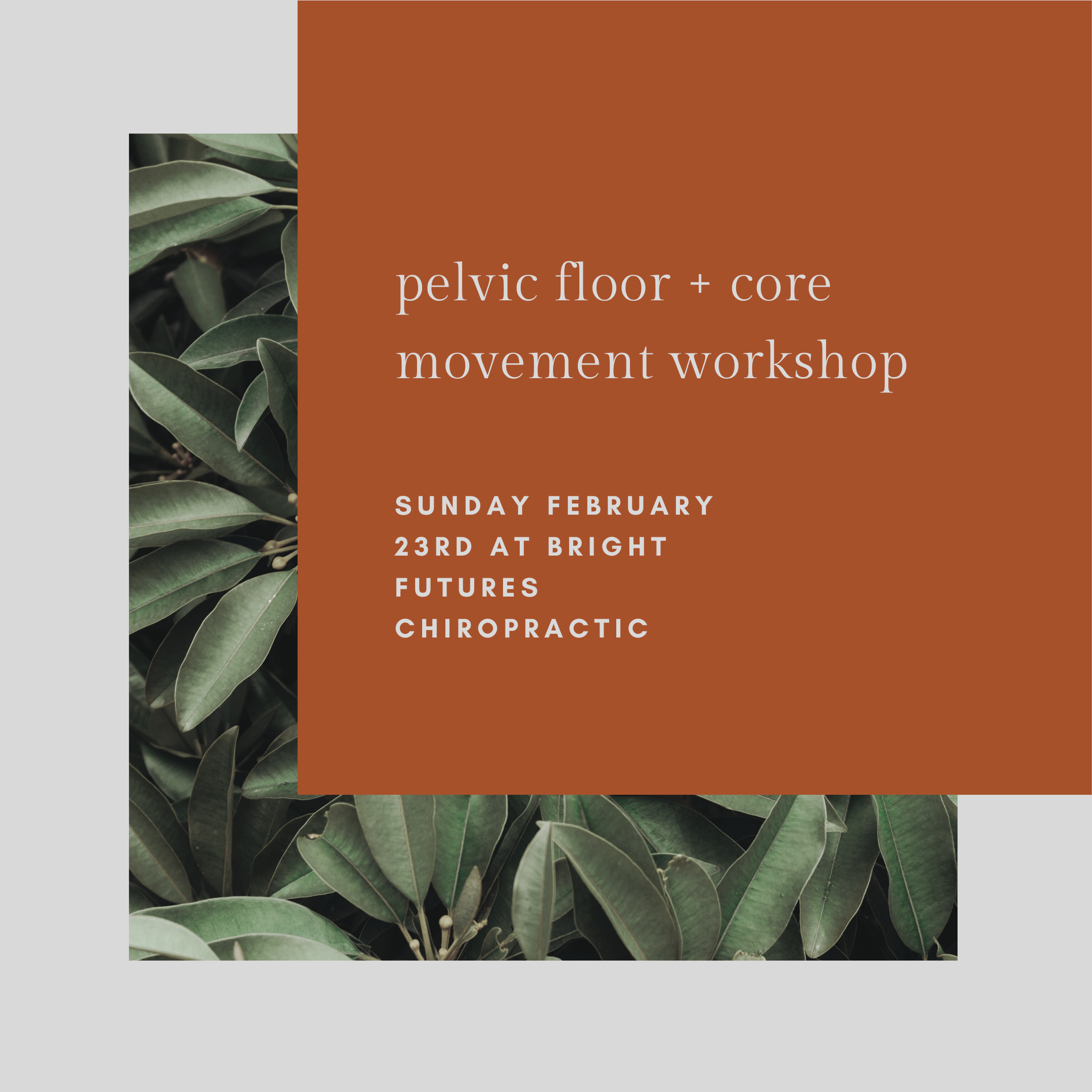 pelvic floor + core movement workshop