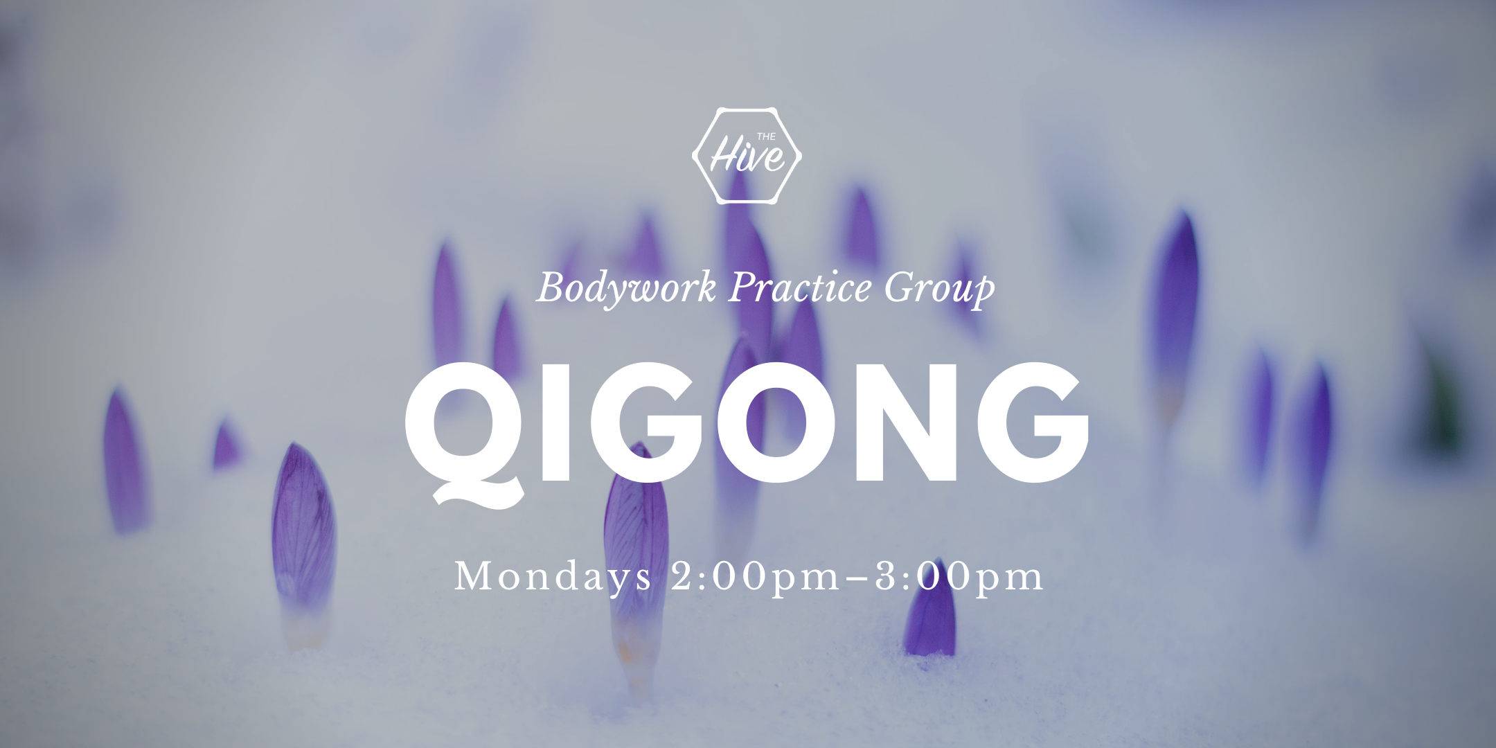 Qigong Practice Group