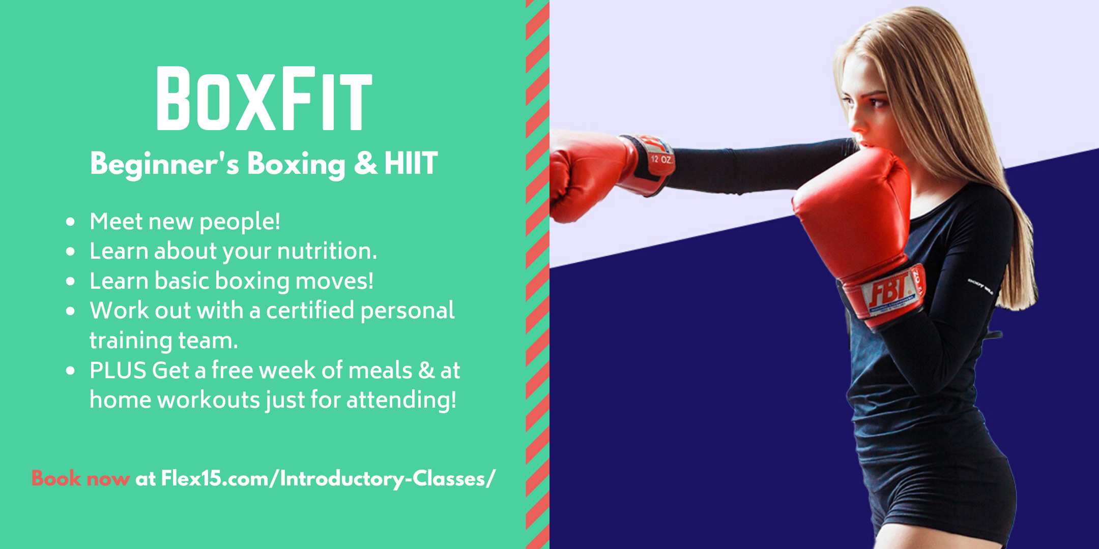 BoxFit at Flex 15 Fitness & Nutrition - Fitness, Fighting & Friends!