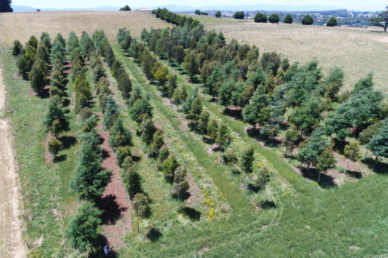 Diversification and Innovation Farm Visit- Multi Story Farming.