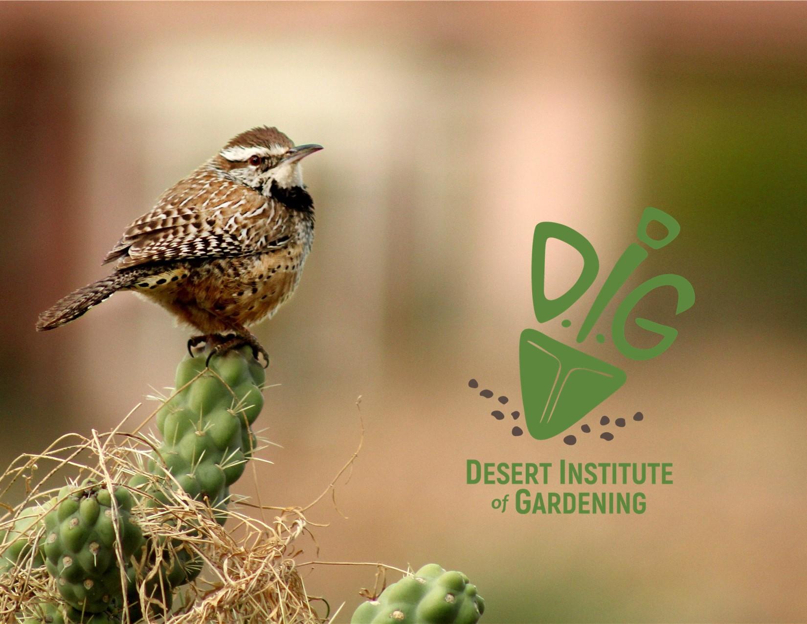 Desert Institute of Gardening Online: Landscaping For Birds