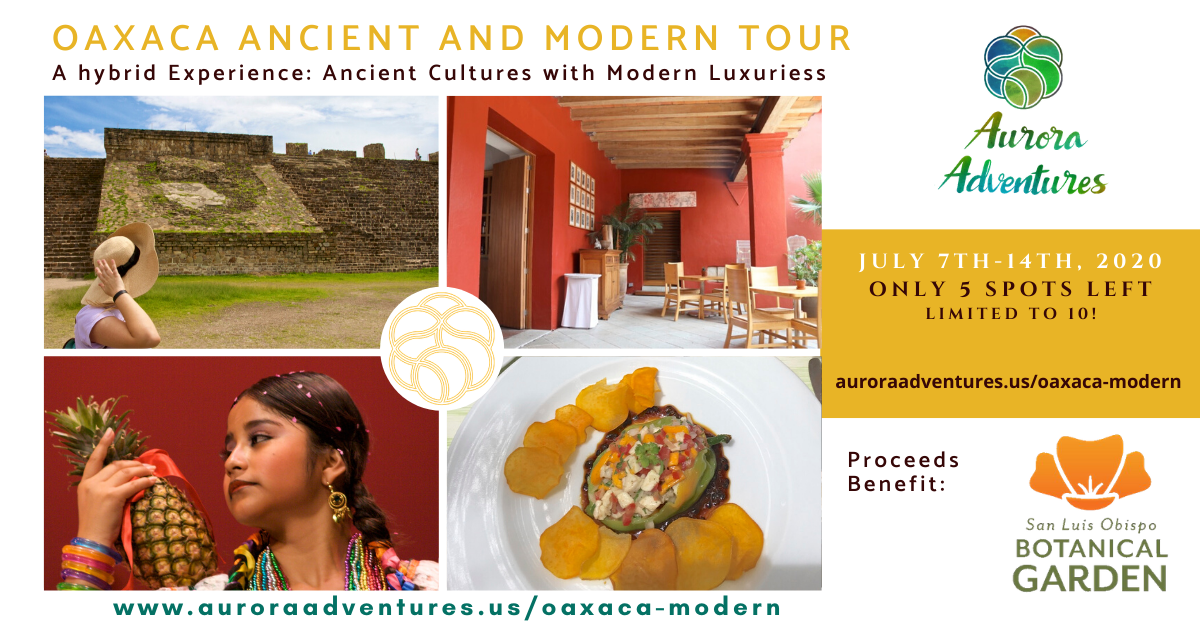 Oaxaca Ancient & Modern Tour