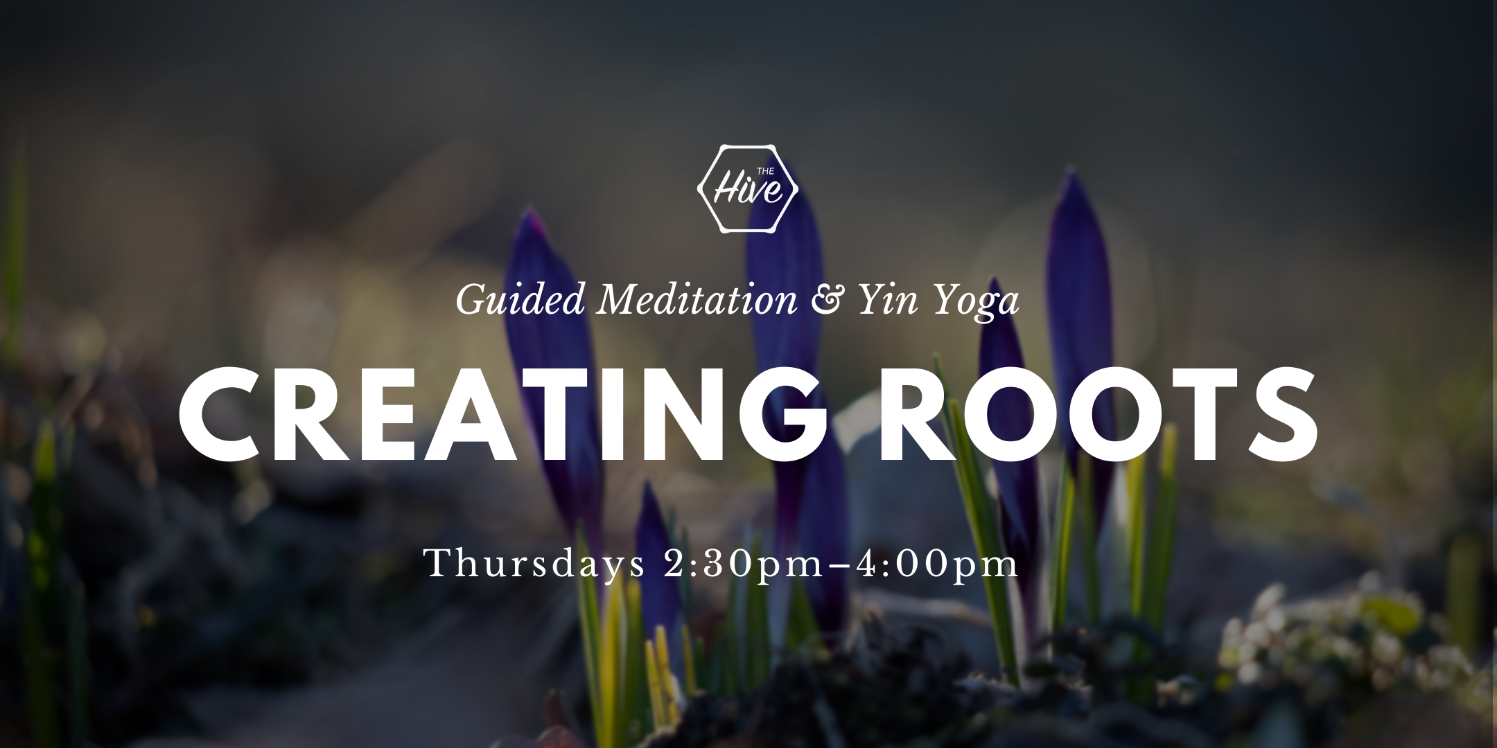 Creating Roots: Guided Meditation and Yin Yoga 