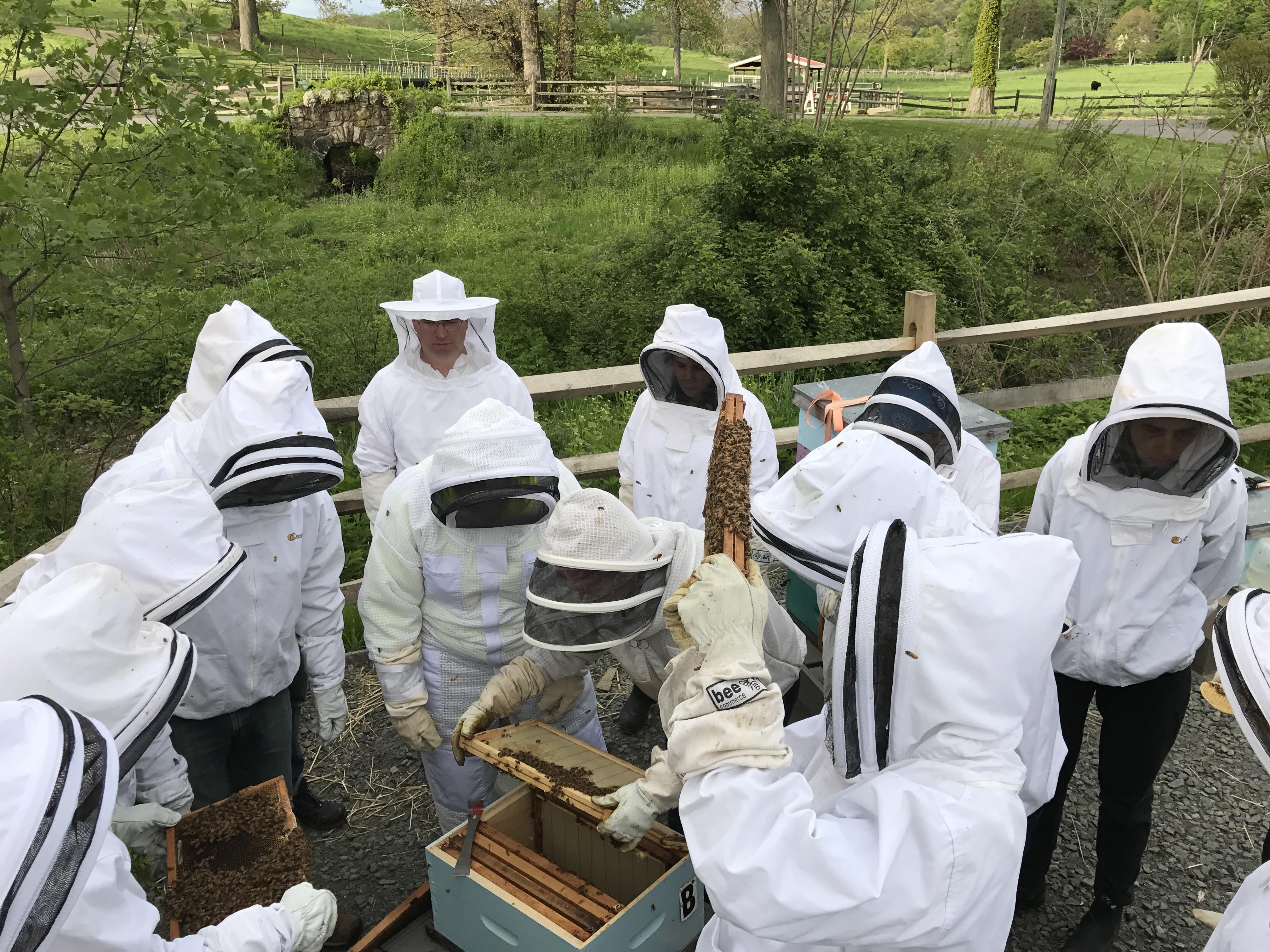Beekeeping School 2020 - Stone Barns Center for Food and Agriculture
