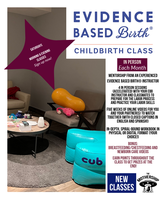 Zoom Class + selling Online Childbirth Education: A 132-page guide on childbirth